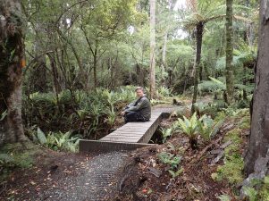 Rakiura Track
