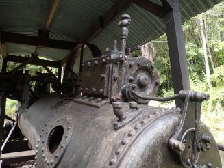 Rakiura Track