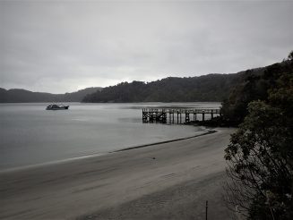Rakiura Track