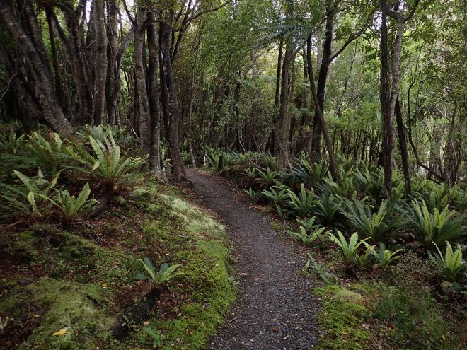 Rakiura Track