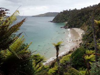 Rakiura Track