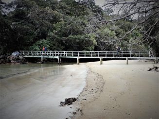 Rakiura Track