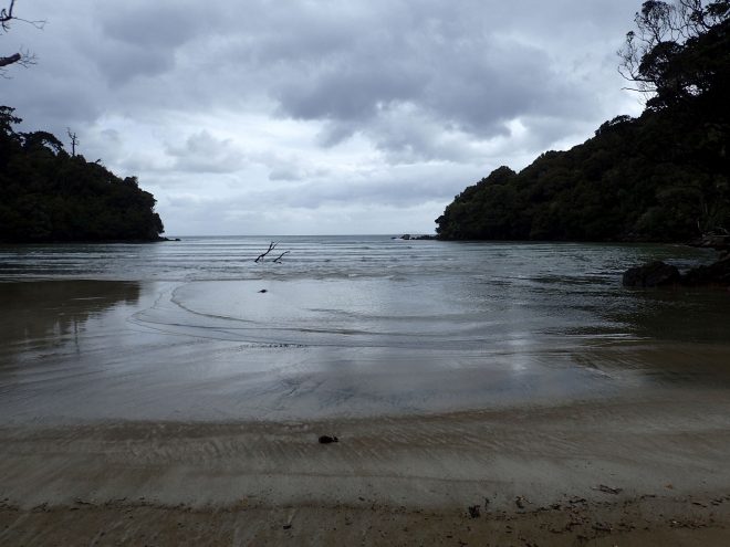 Rakiura Track