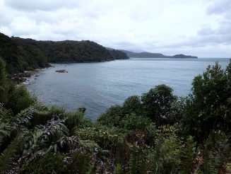 Rakiura Track