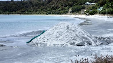 Stewart Island