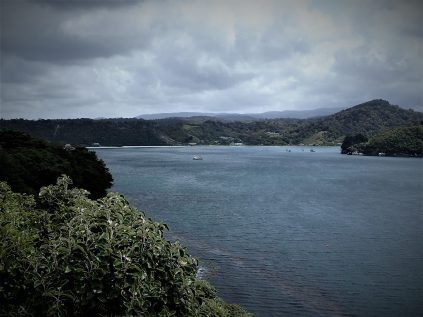 Stewart Island
