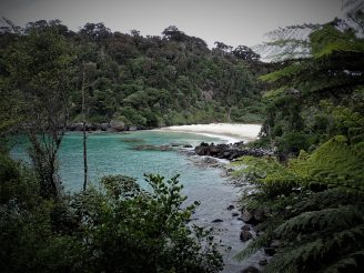 Stewart Island
