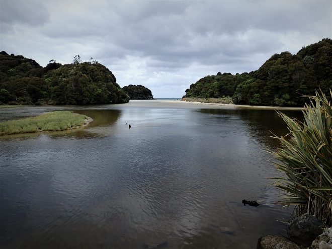 Stewart Island