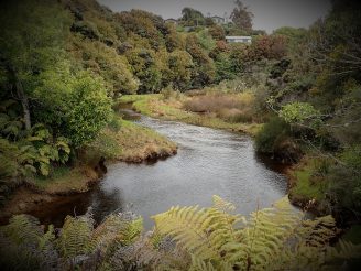 Stewart Island