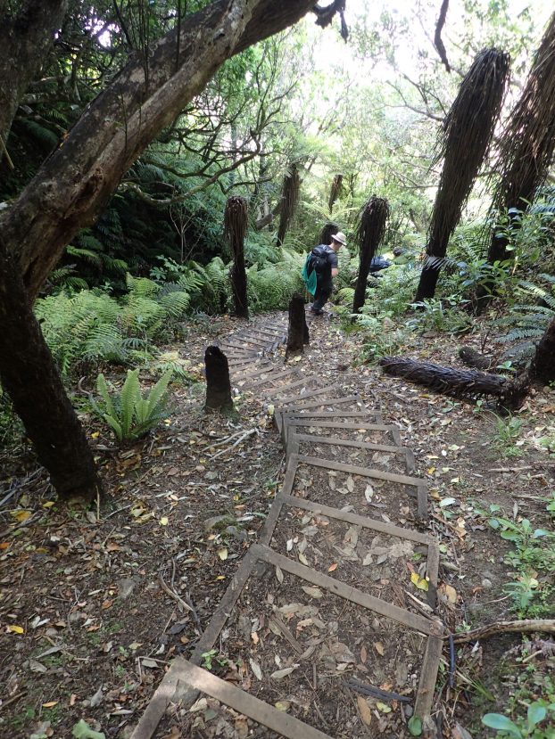 Hump Ridge Track