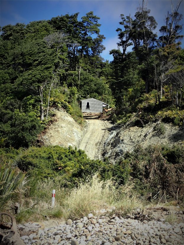 Hump Ridge Track