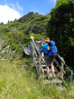 Hump Ridge Track