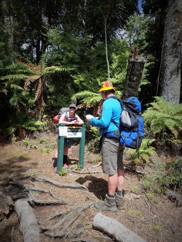 Hump Ridge Track