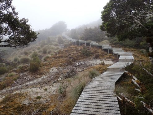 Hump Ridge Track