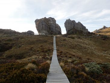 Hump Ridge Track