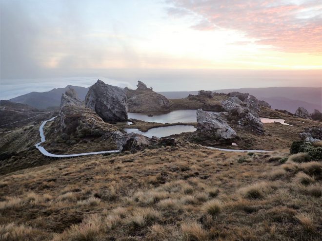 Hump Ridge Track
