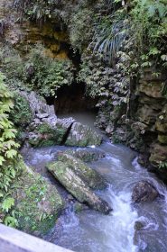 Ruakuri Walk
