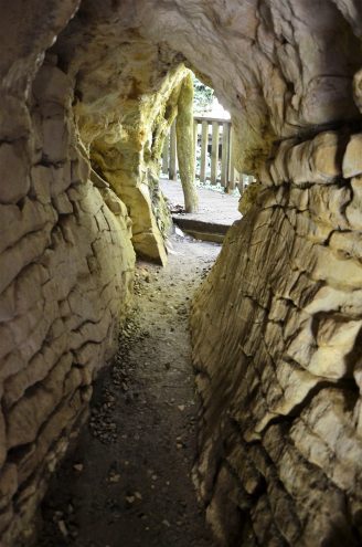 Ruakuri Walk
