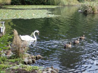 Whanganui / Wanganui