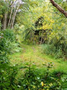 Tararu Track