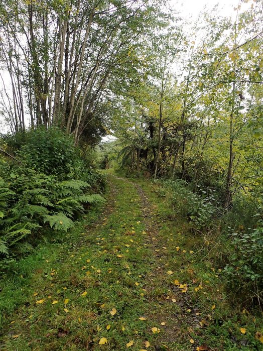 Tararu Track
