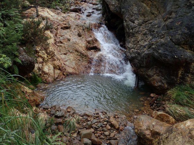 Tararu Stream
