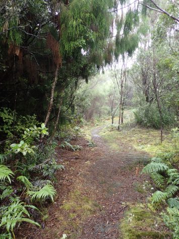 Crosbies Main Range Tramping Track