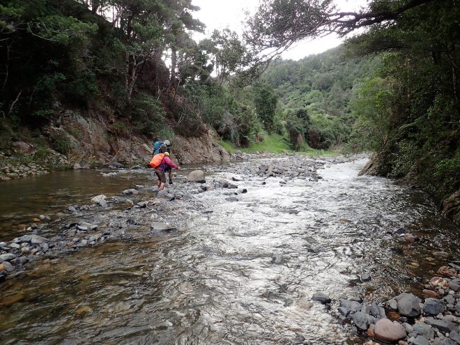 Te Puru Stream