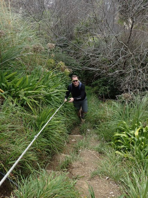 Port Waikato