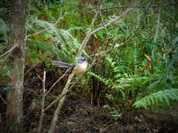 Harker Reserve