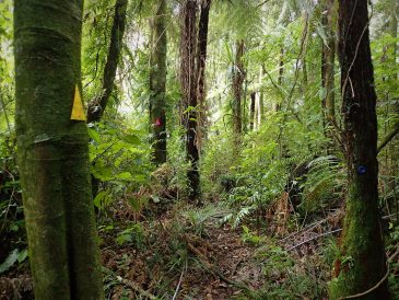 Harker Reserve