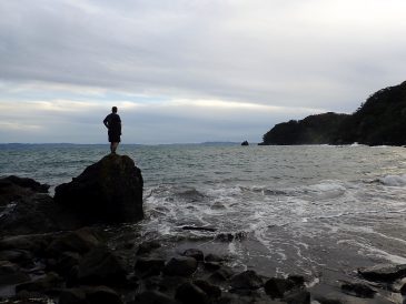 Whangarei Heads