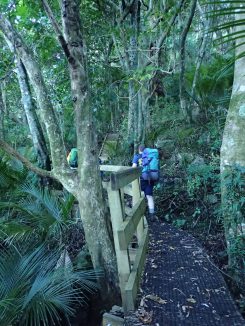 Whangarei Heads