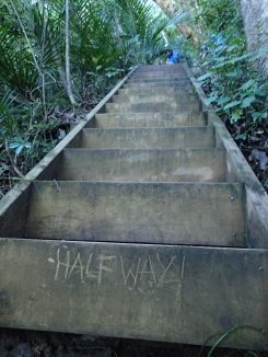 Whangarei Heads