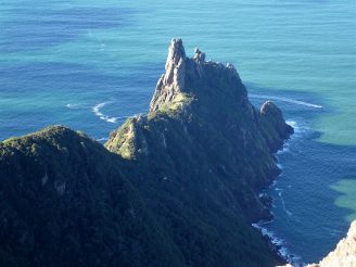 Whangarei Heads