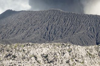 P1000426