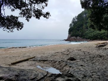 20180708_153051