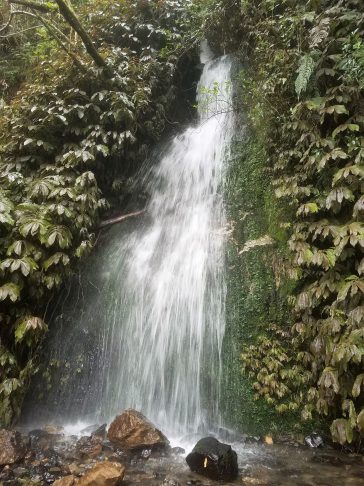20180729_150633
