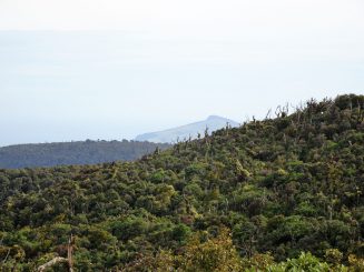DSC00439
