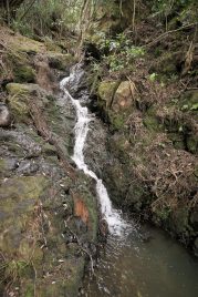 P1020561