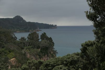 P1020575