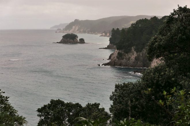 P1020579