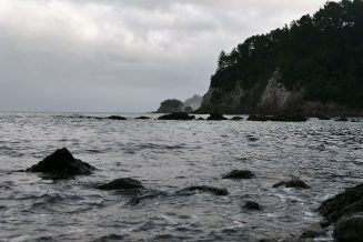 P1020584
