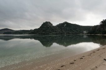 P1020596