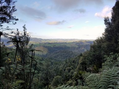 20180901_165141