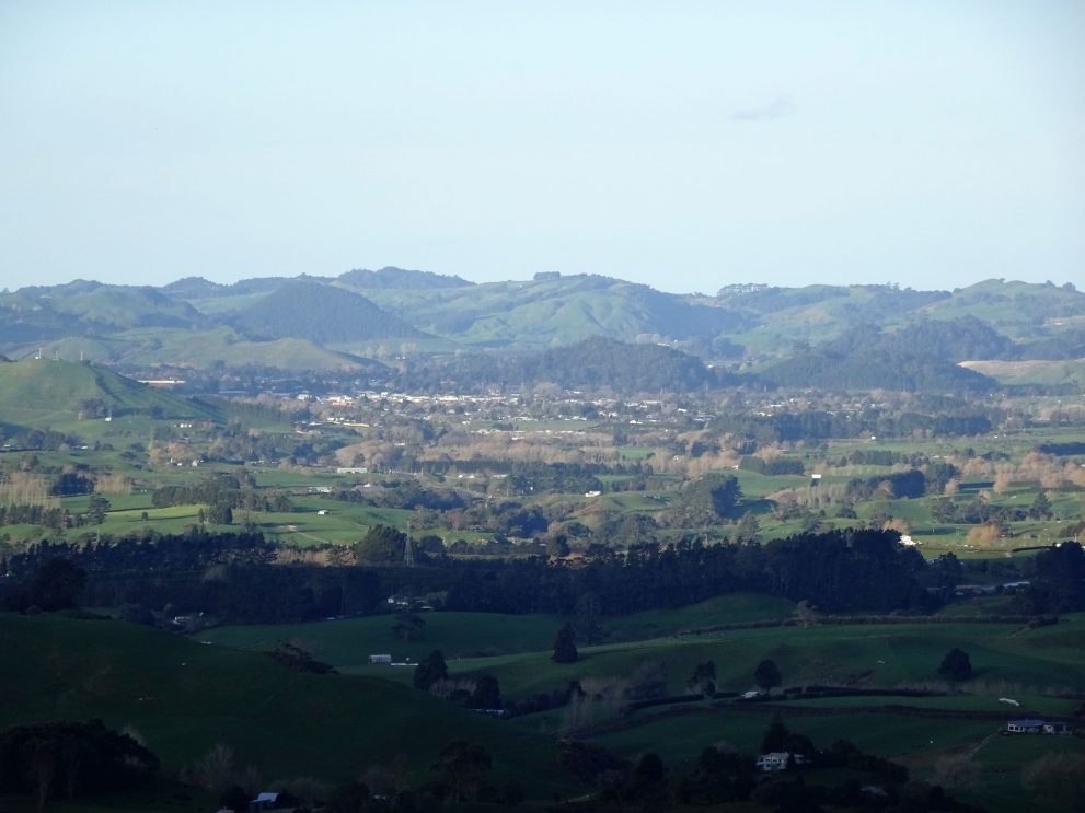 DSC00877