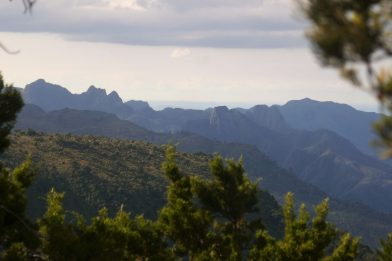 P1170561
