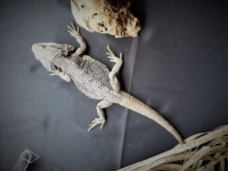 20191117_123232
