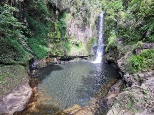 IMG_20200104_161605