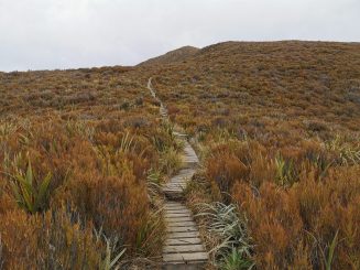 IMG_20201022_130335
